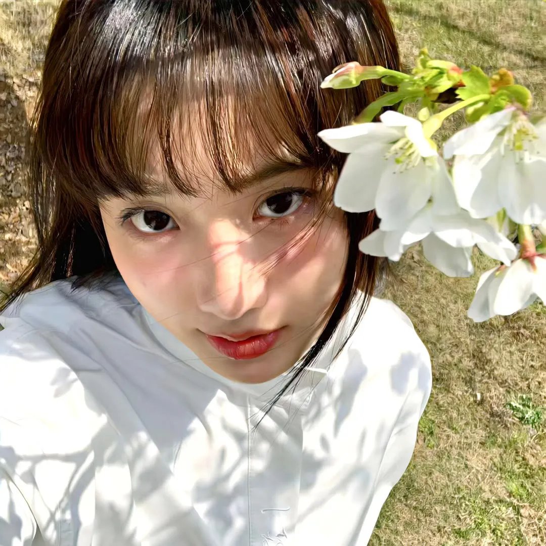 风月道人斗魔女