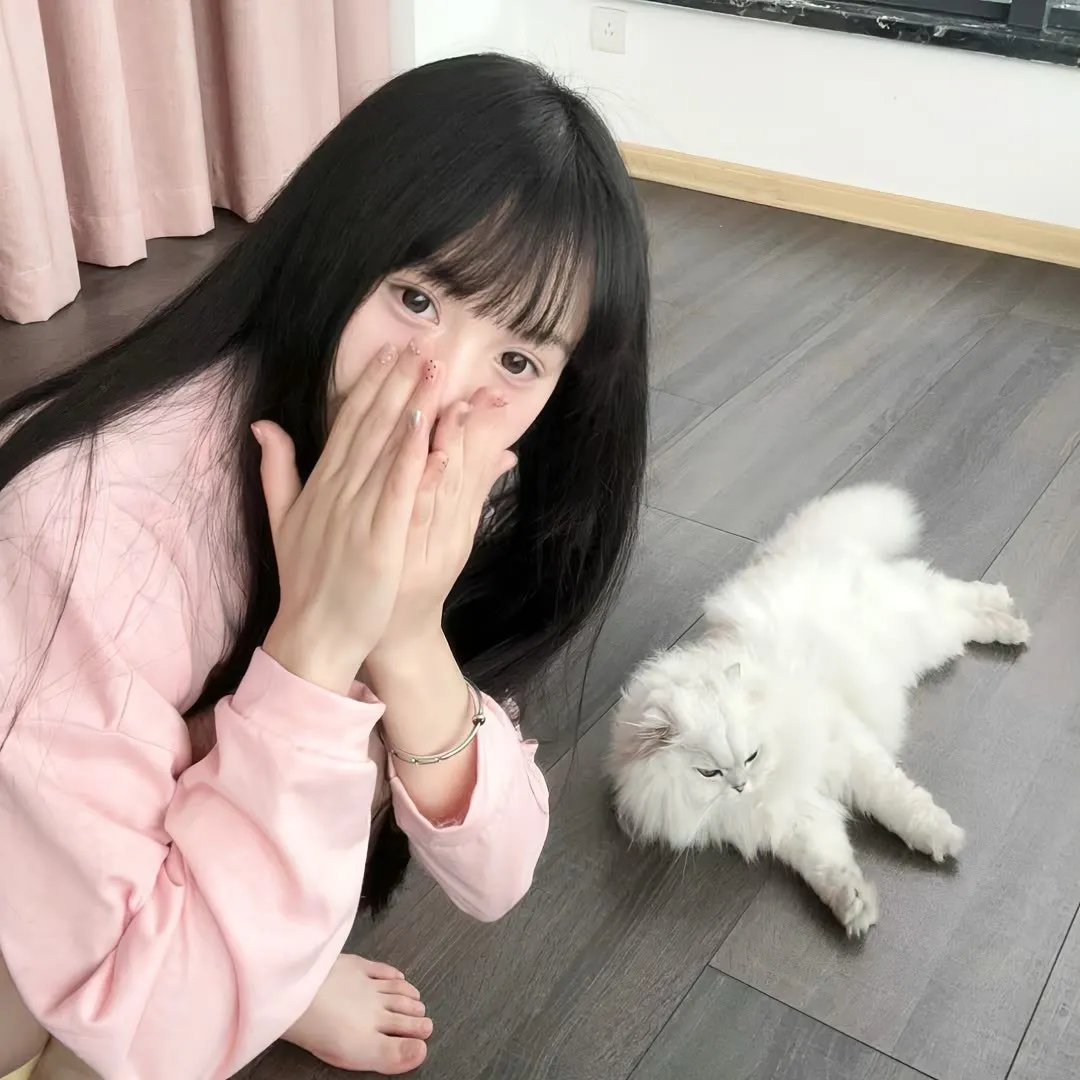 青春月谭