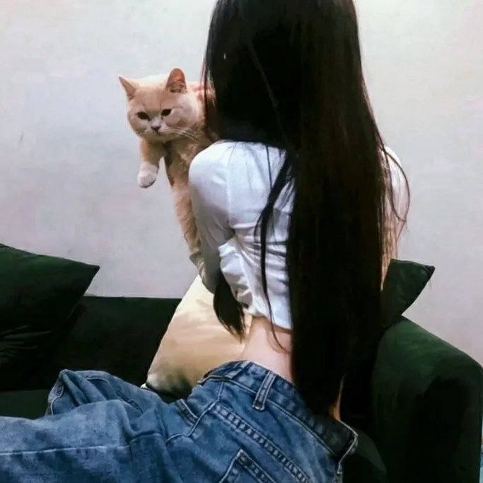来自月亮的我